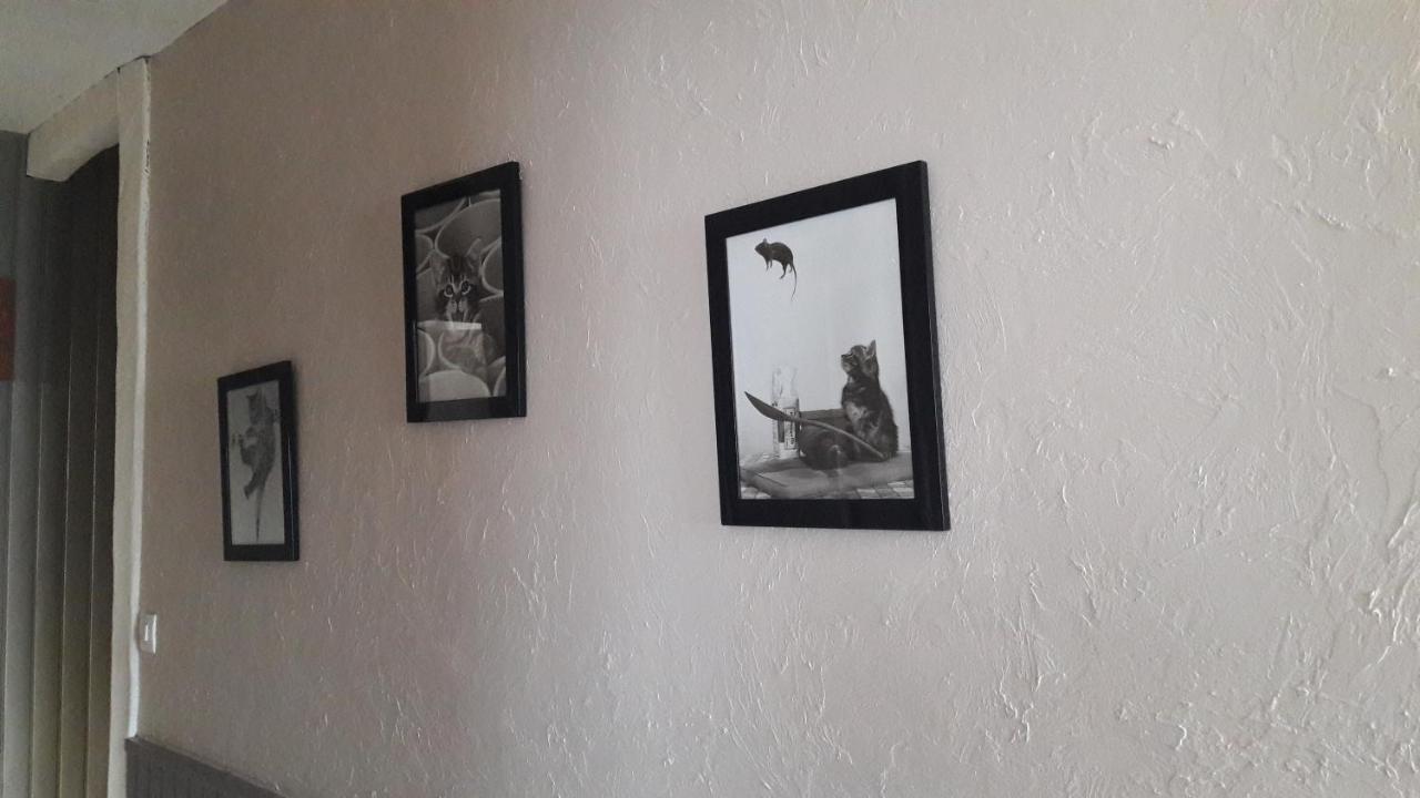 Chambre D'Hote - La Ruche Des Bleuets Mulsanne Buitenkant foto