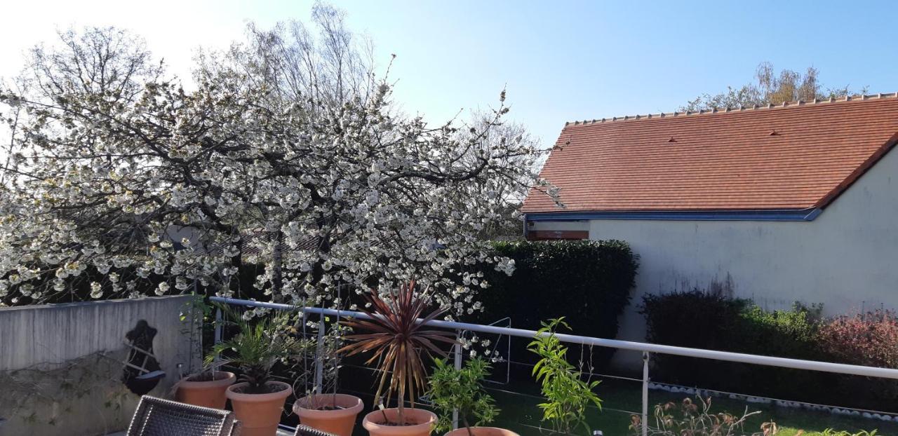 Chambre D'Hote - La Ruche Des Bleuets Mulsanne Buitenkant foto